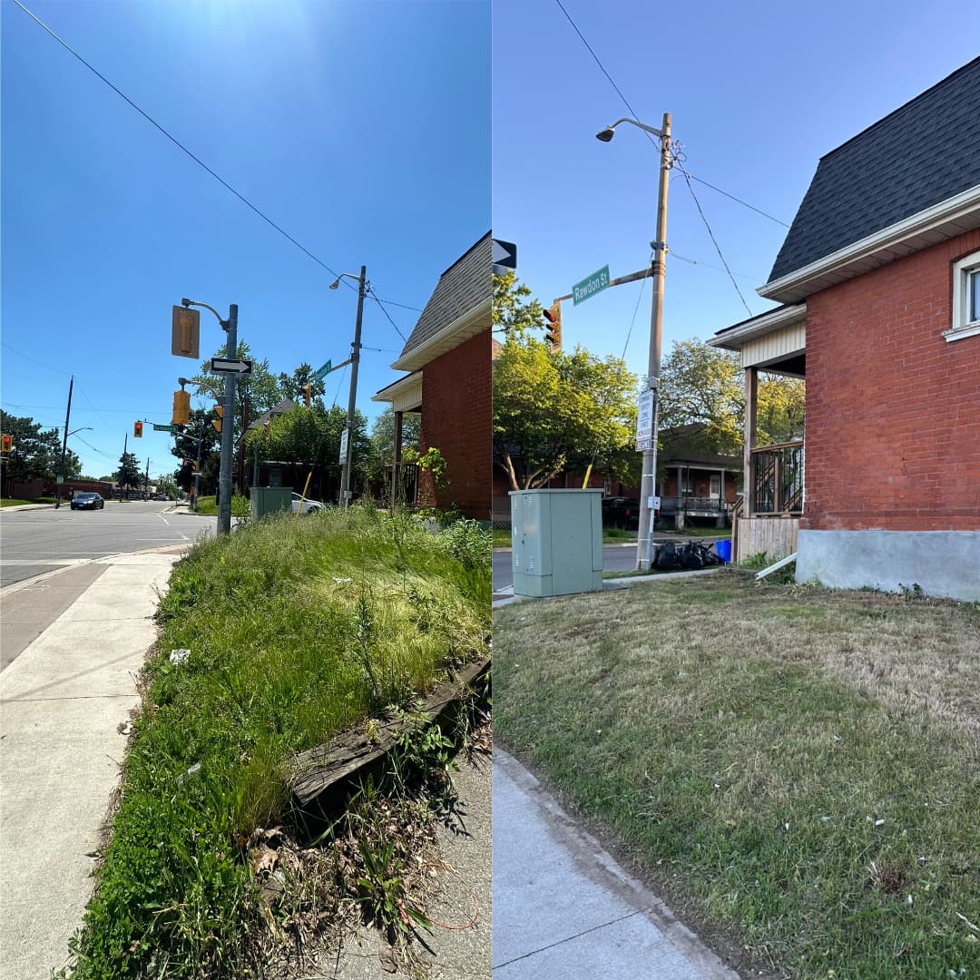 Corner-lot overgrowth cut — before and after