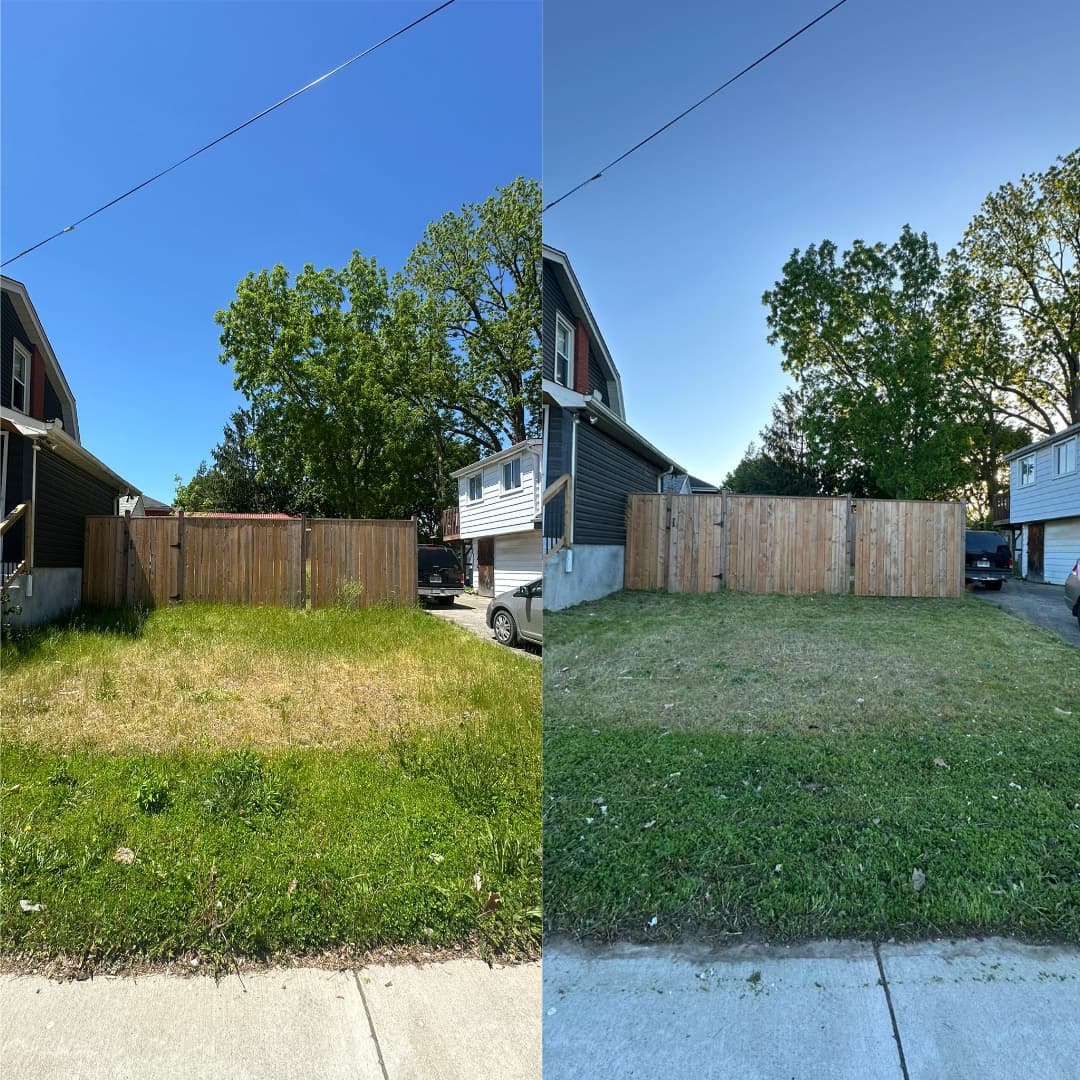 Front lawn mow & tidy — before and after