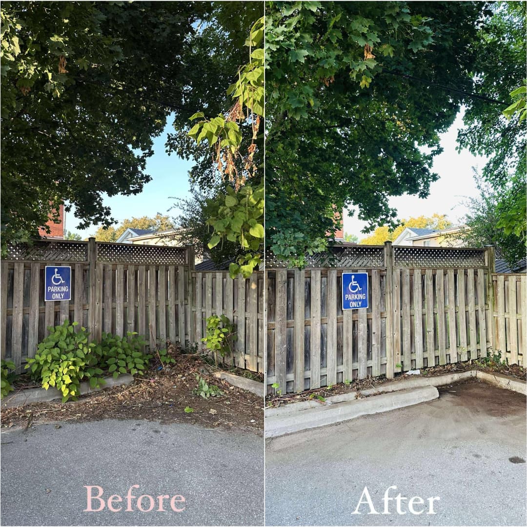 Laneway edge clearing — before and after