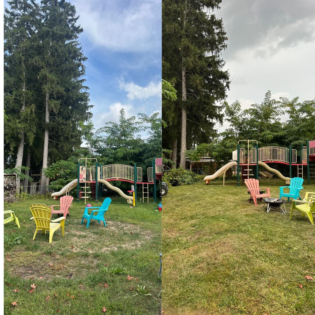 Backyard lawn refresh — before and after