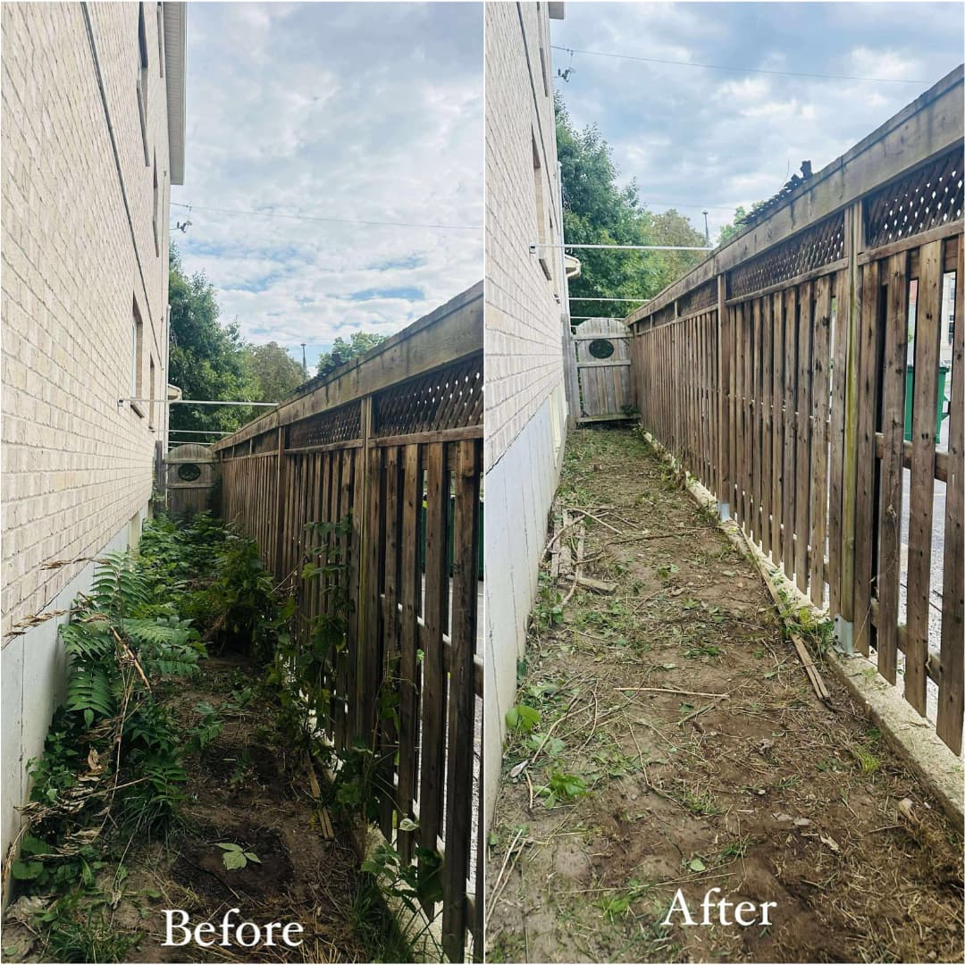 Side-yard overgrowth cleared — before and after