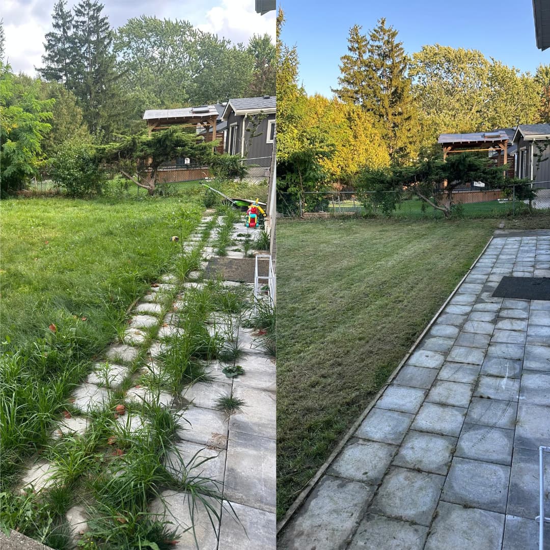 Walkway weeding & lawn cut — before and after